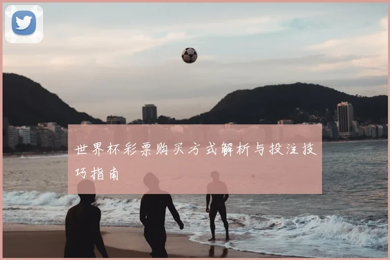 世界杯彩票购买方式解析与投注技巧指南